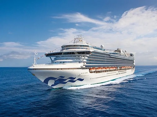 Read more about the article Crown Princess